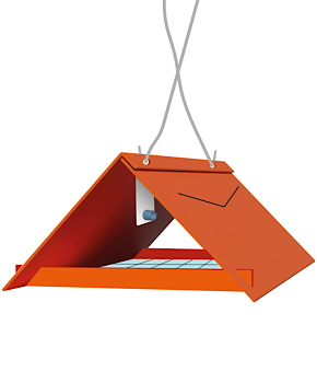 Delta Orange