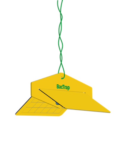BacTrap