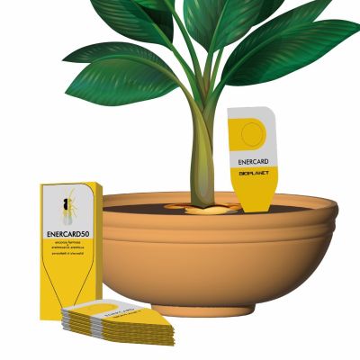 EnerCARD50